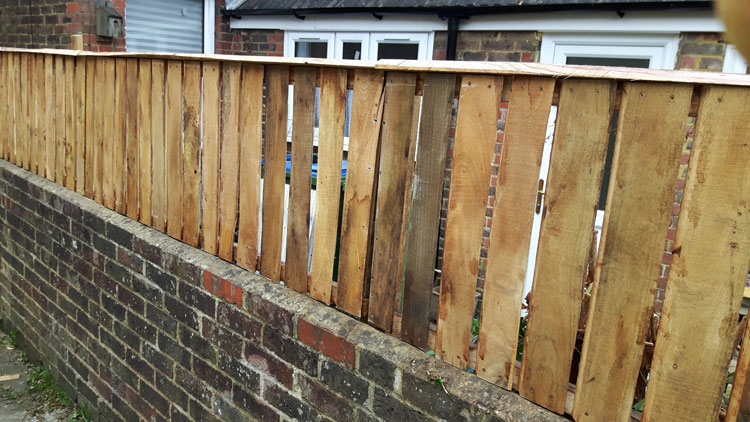 A Chestnut screen on an adjoining party  wall