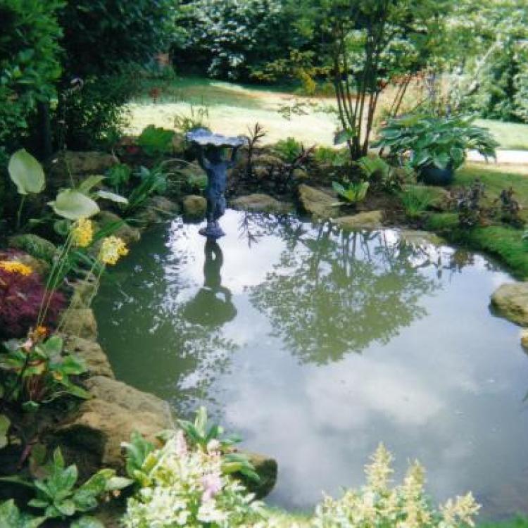 Garden with pond