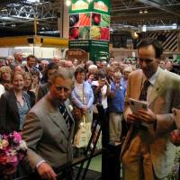 The Cinzano Garden