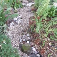 Dry Stream Bed featured garden