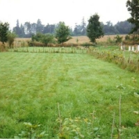 Millennium Remembrance Garden