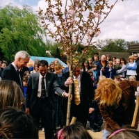 Normandy Community Therapy Garden