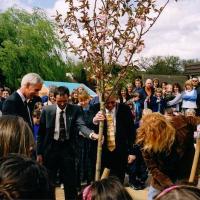 Normandy Community Therapy Garden