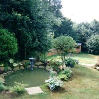 Garden with pond