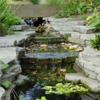 Queen Elizabeth II Garden