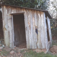 The old veg garden shed