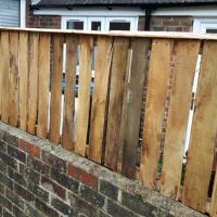 A Chestnut screen on an adjoining party  wall